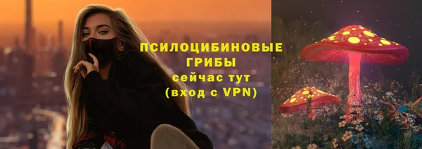 прущая мука Алзамай